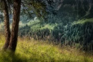 Dolomites nature